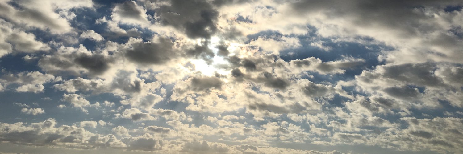 sarahnist's profile banner image