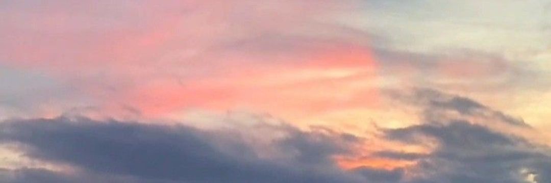 amore_lia's profile banner image