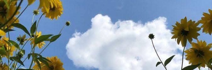 Sundaari_'s profile banner image