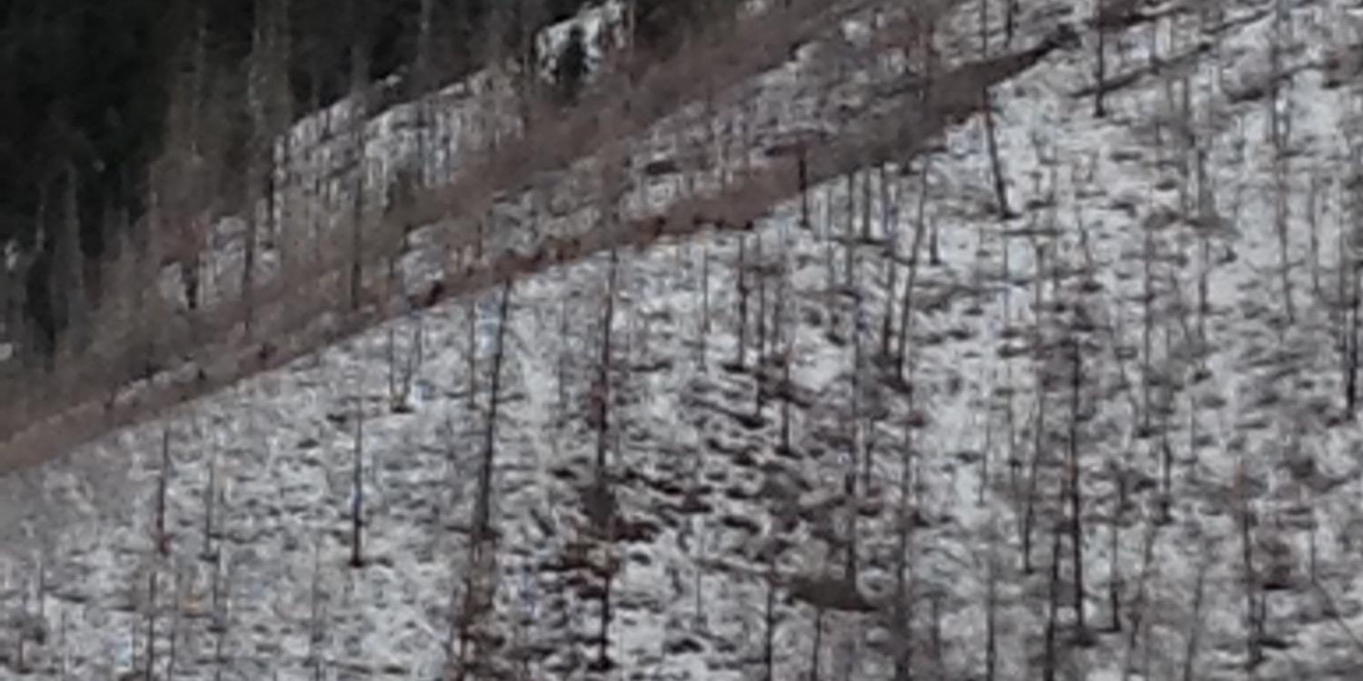 Sleeveno11's profile banner image