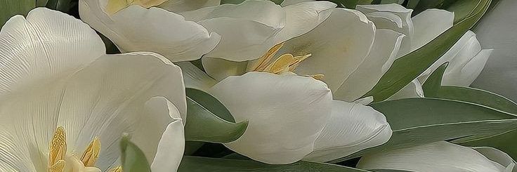 hallories's profile banner image