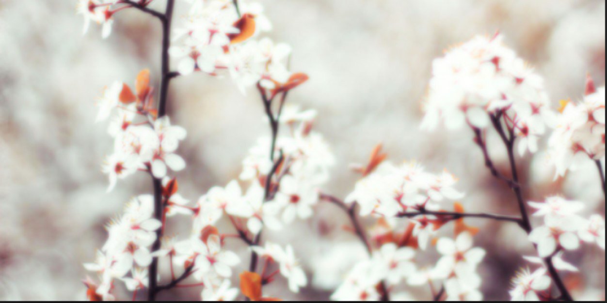 DurtyPigs's profile banner image