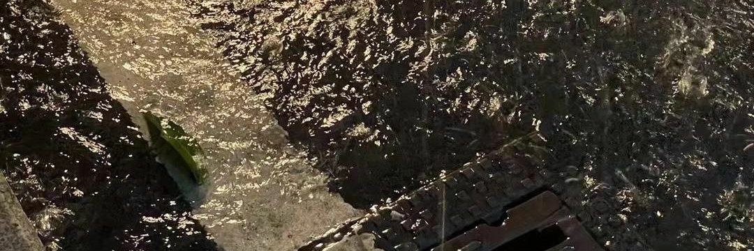 Diana banner