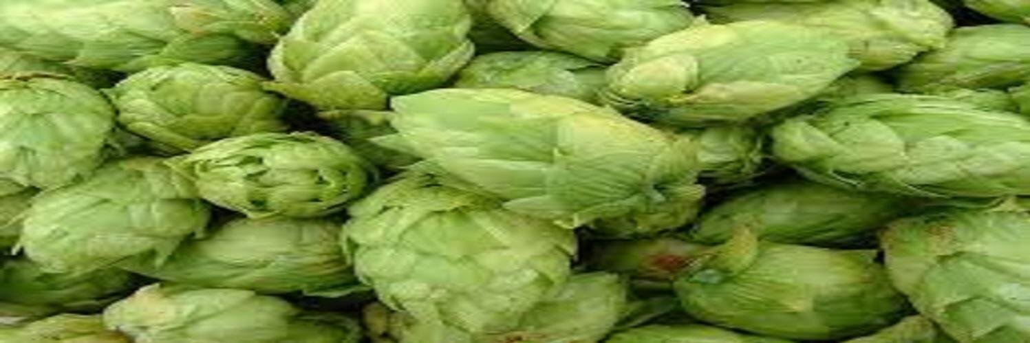 BeerTeach's profile banner image
