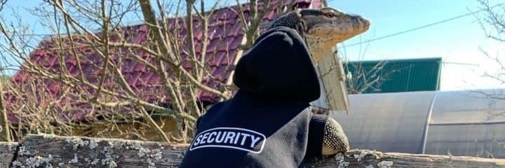 fbilly19's profile banner image