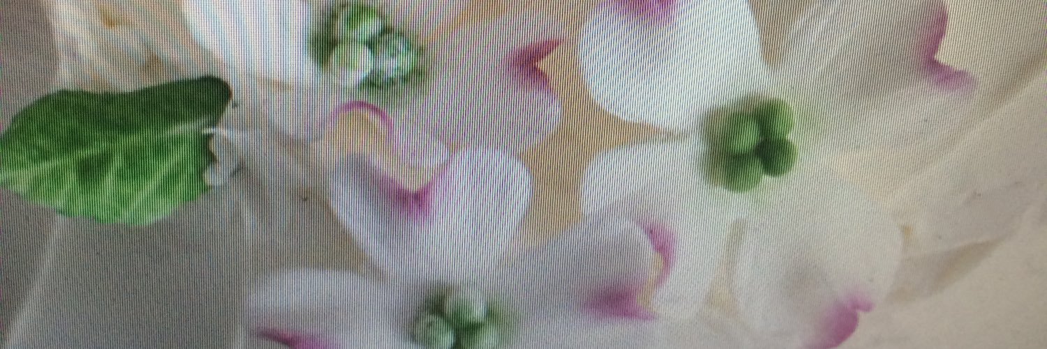 Kelly_McNeill_S's profile banner image