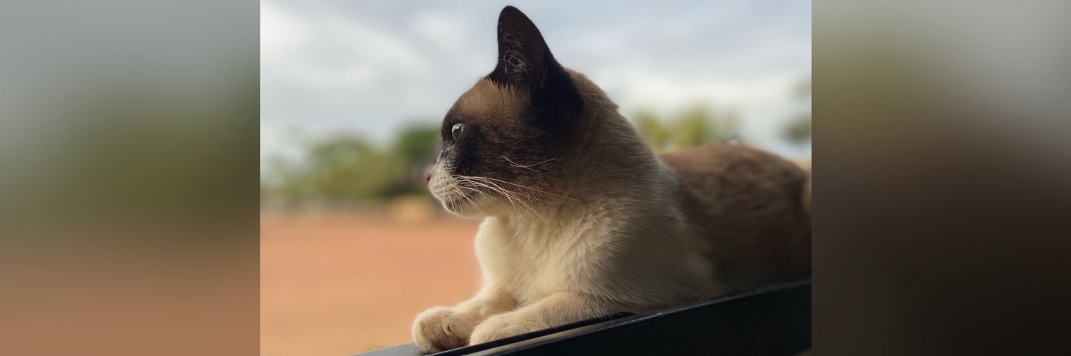 maahpva's profile banner image