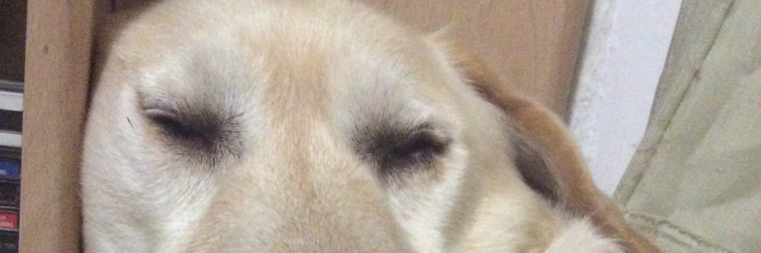 Larry_Hoja's profile banner image