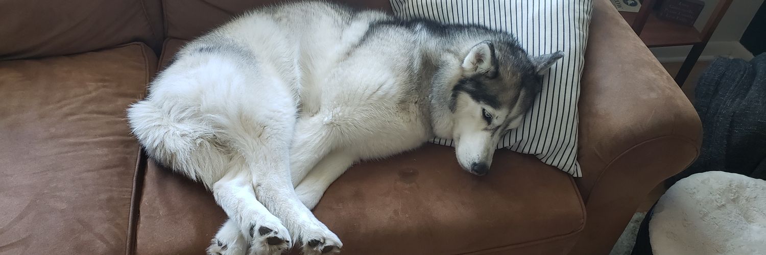 wasilly's profile banner image