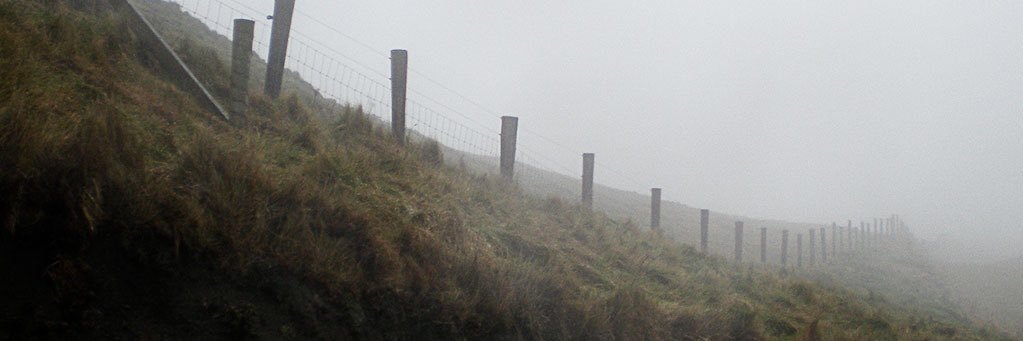 LarcenyCrook's profile banner image
