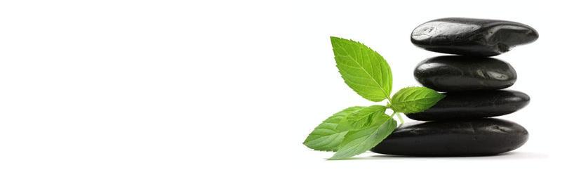 MahayanFX's profile banner image