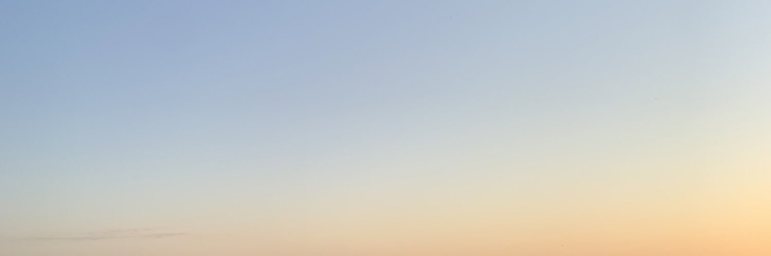 maggie zhou banner