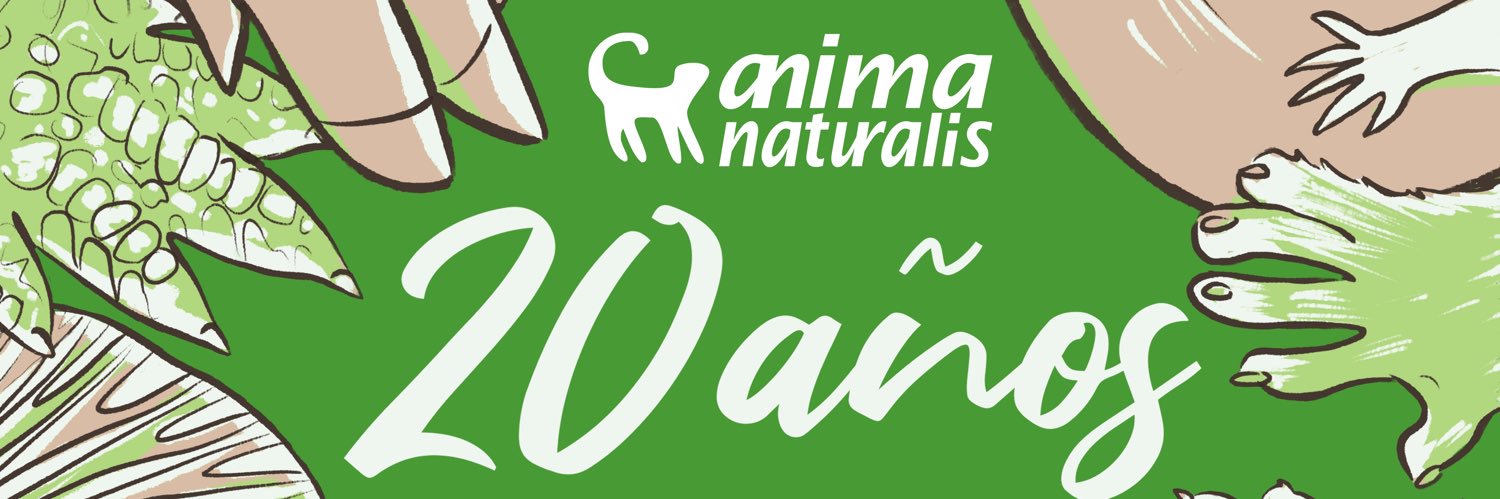 Derly Johana Flowers 💚🥑🐕 banner