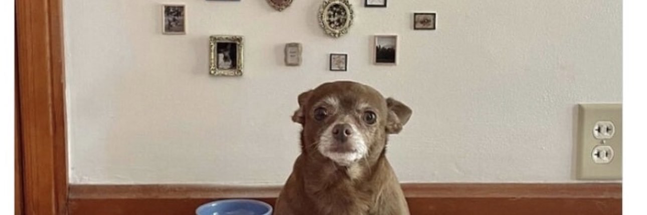 Kerfuffle Jones banner