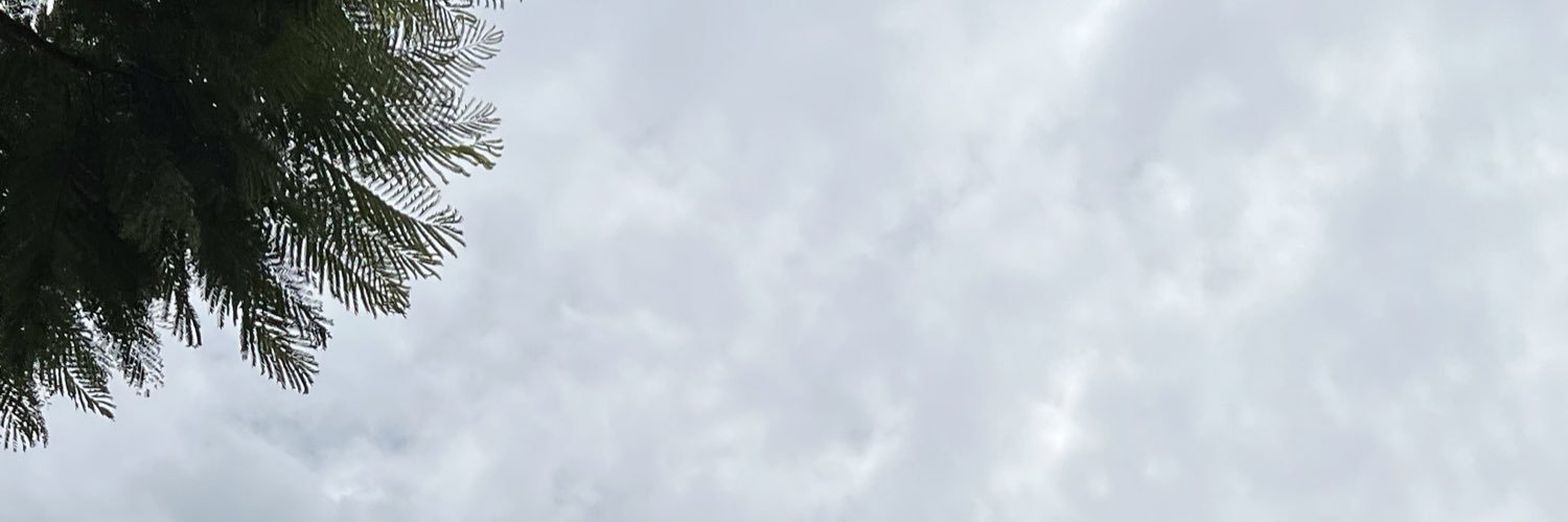agreee_'s profile banner image