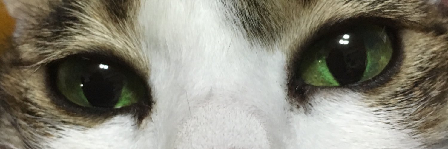 a60141's profile banner image