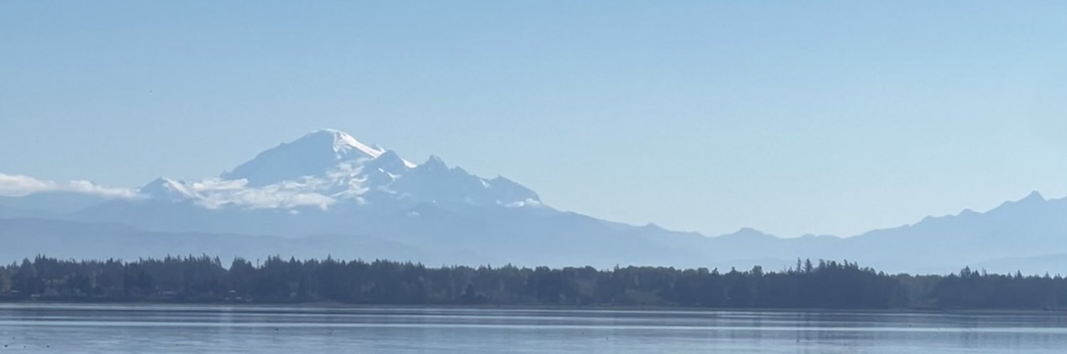 collibwillis's profile banner image