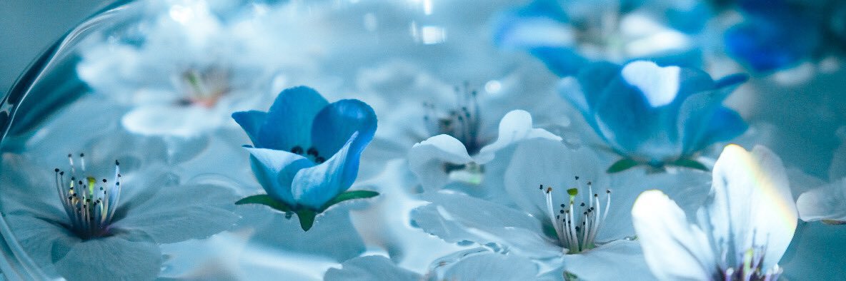 ndtn73's profile banner image