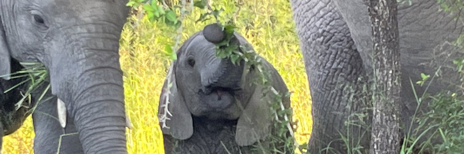 Richard Thomson banner