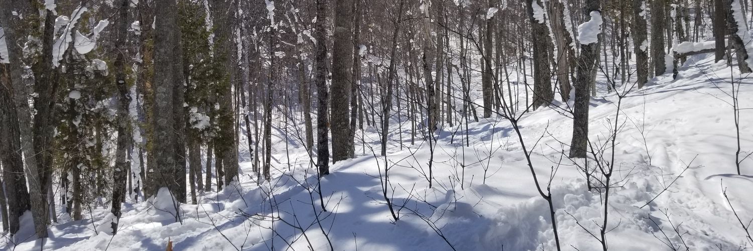 ericcjacobs's profile banner image