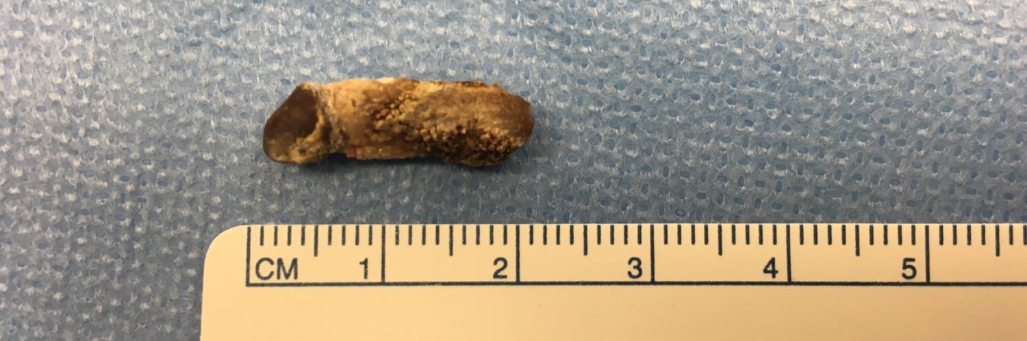 Pecker Checker, MD, The Piss Prophet banner