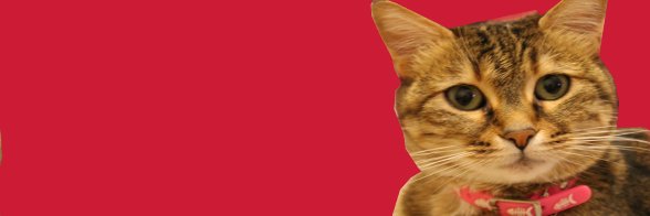 brcusrtt's profile banner image