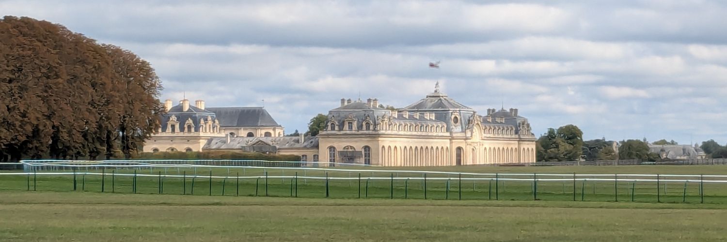 Anthony Araujo-Lafitte banner