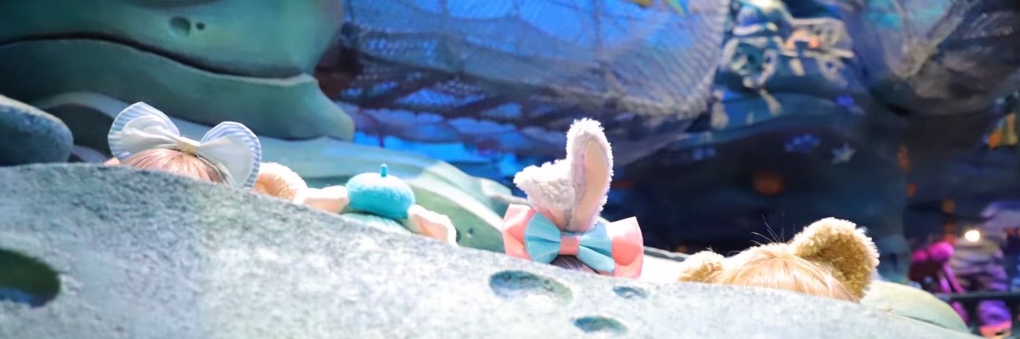 pypymrr's profile banner image