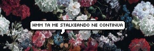 Bruna banner