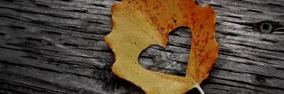 uchitwitt's profile banner image
