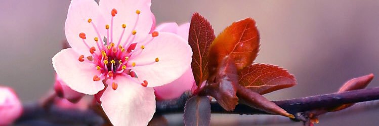 xliux_'s profile banner image
