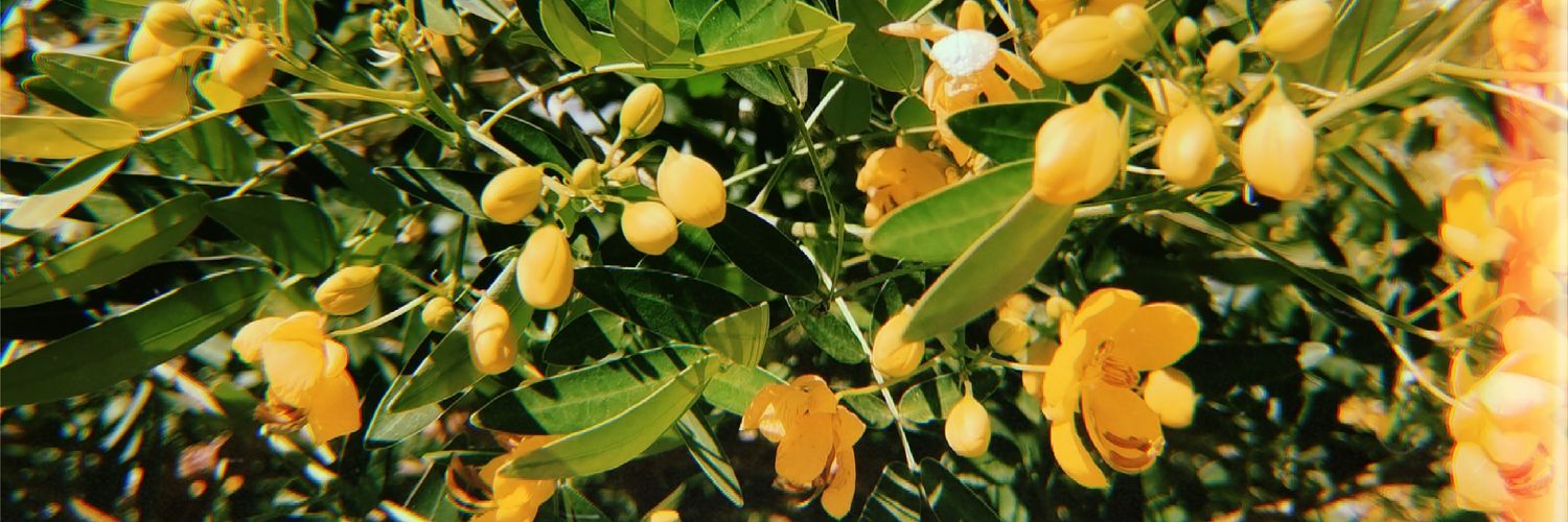 AnaaaCabrera_'s profile banner image