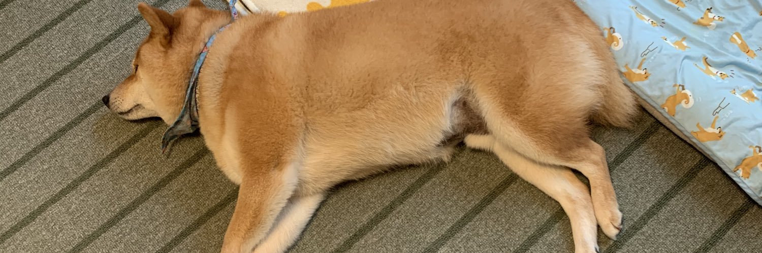 toruchoco's profile banner image