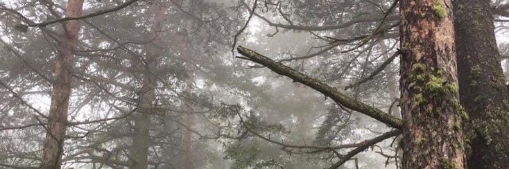 alexrog11's profile banner image