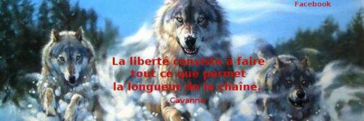 Sandrine Monge banner