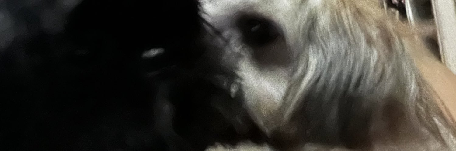 nolookPAT's profile banner image