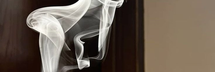 B bird حر كيفي 🐦 banner