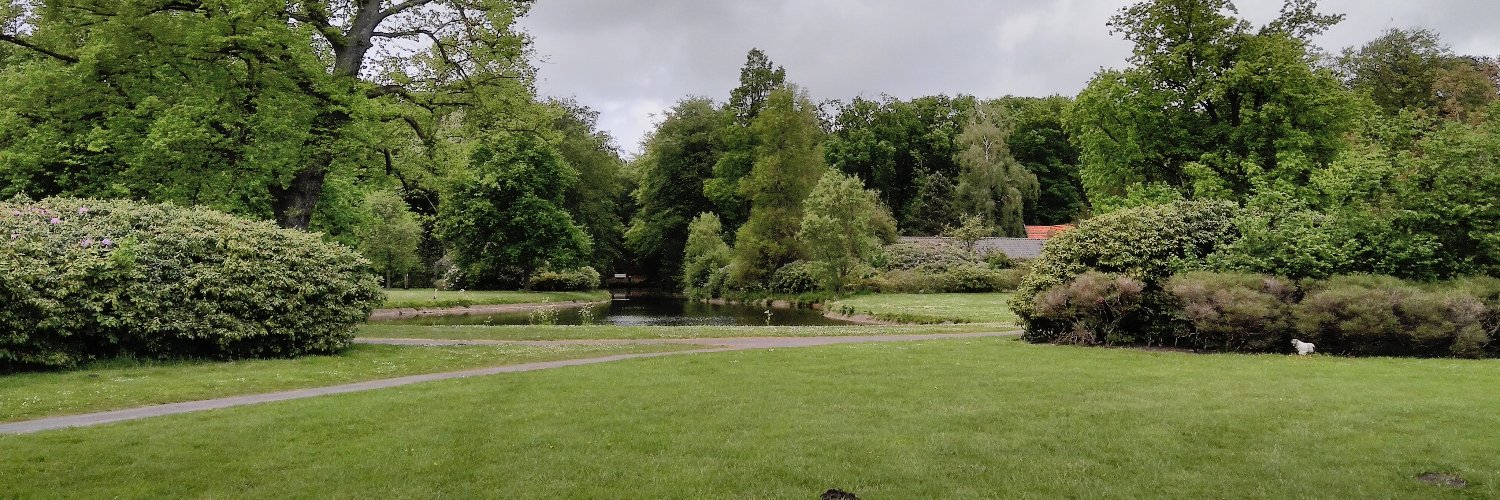 Vikrant Sihag banner