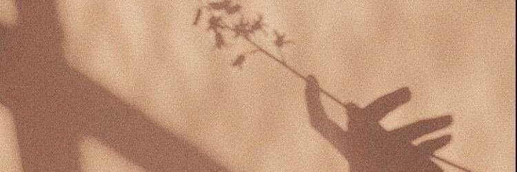 Choc' banner