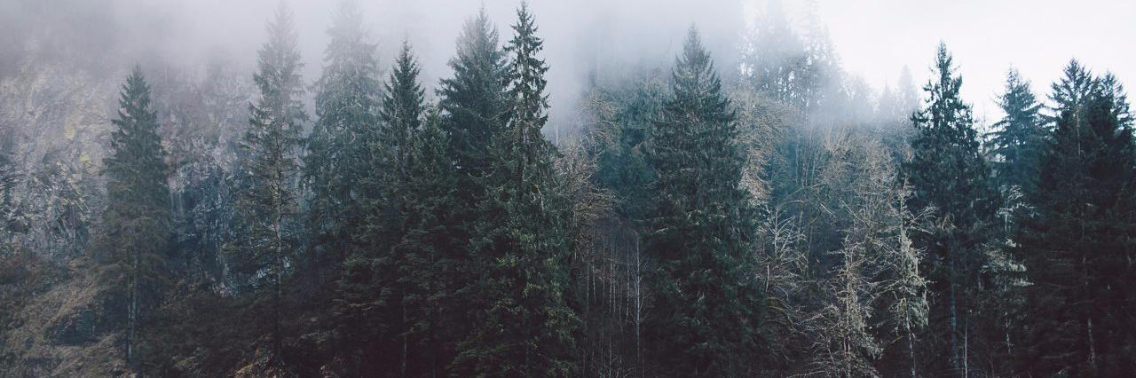 MaksCooper's profile banner image