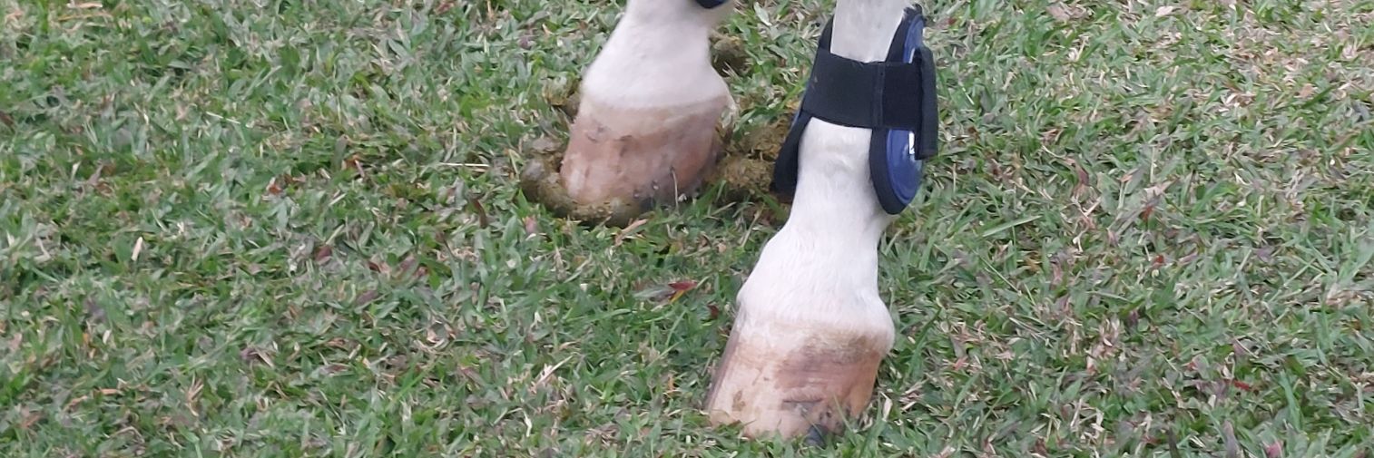 defensepp's profile banner image
