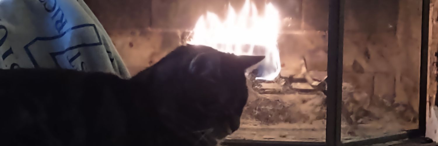 chris 🌙🏝️ banner