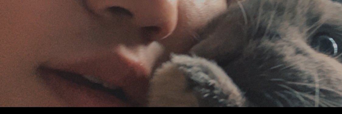 muptts's profile banner image