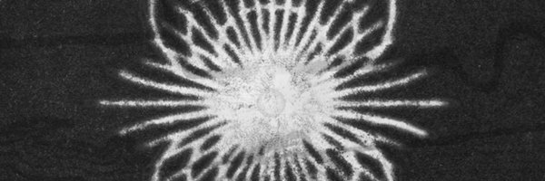 pittmnj Profile Banner