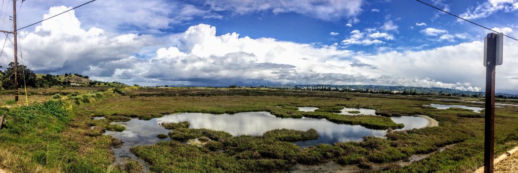 Steve Chervitz Trutane ☮️ banner