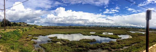 trutane Profile Banner