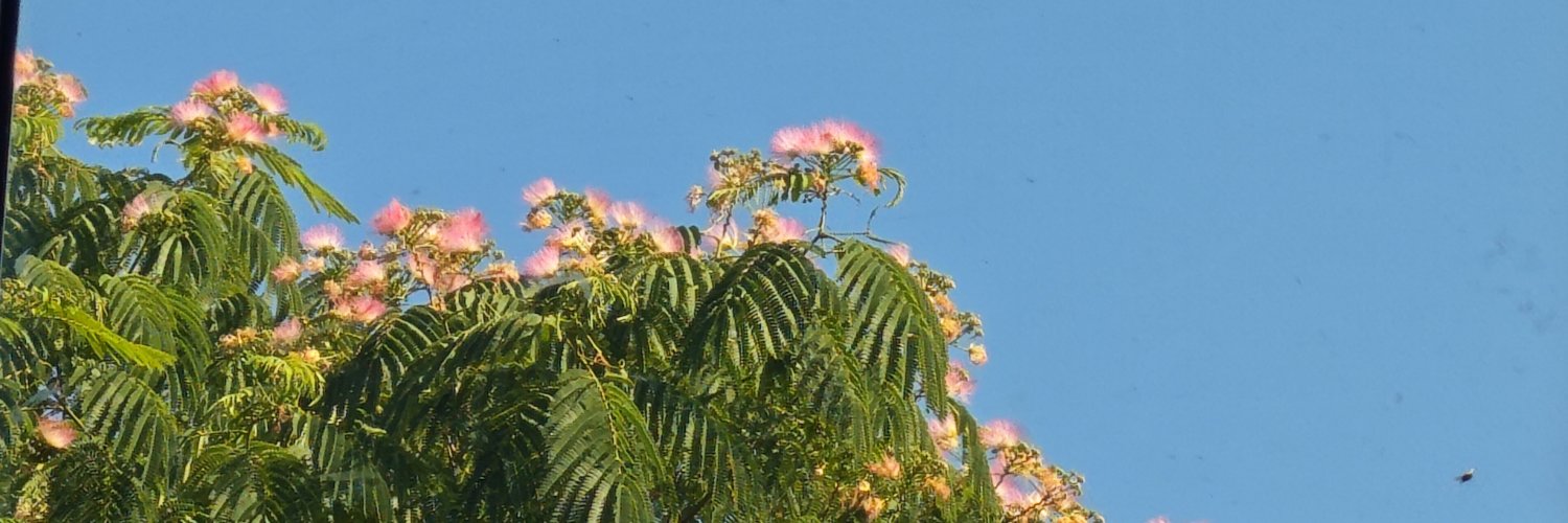 Vickyyacky's profile banner image