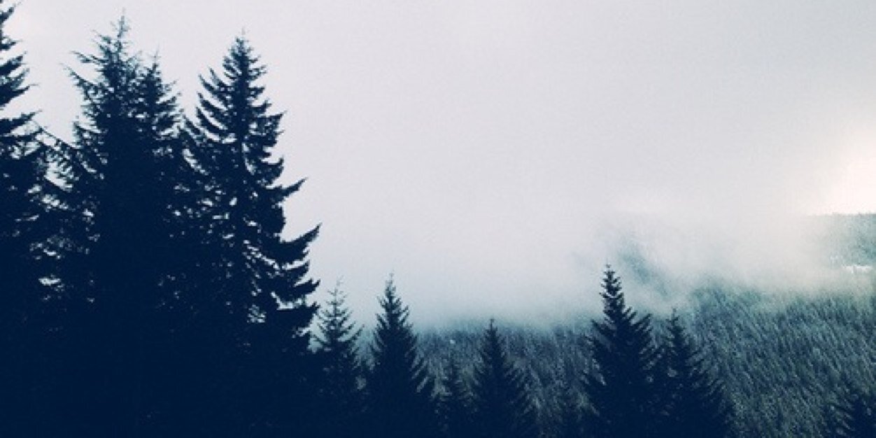 jxeunchs's profile banner image