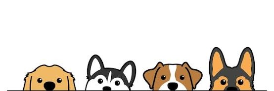 CedrixOng's profile banner image