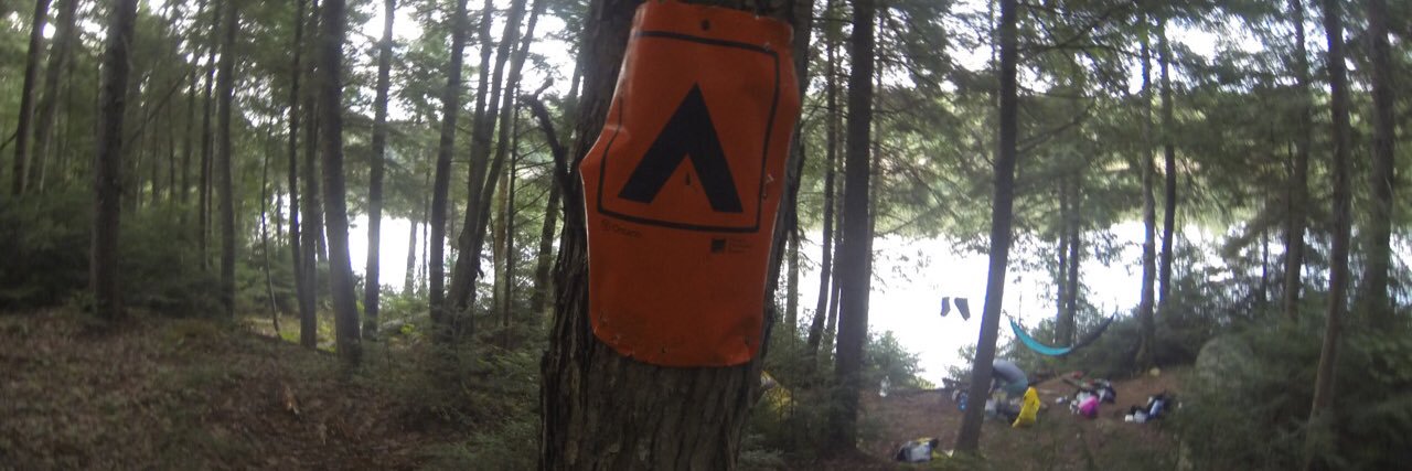tomRtripp's profile banner image